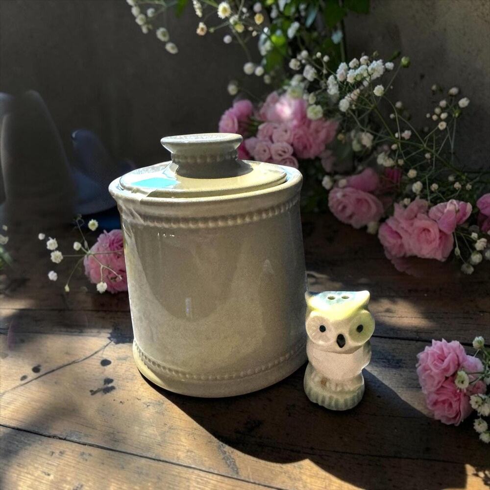 Vintage Sage Green Ceramic Canister Jar, Farmhouse Kitchen Accent, Rustic